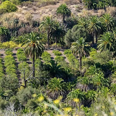 Iguazu Playa del Ingles (Gran Canaria)